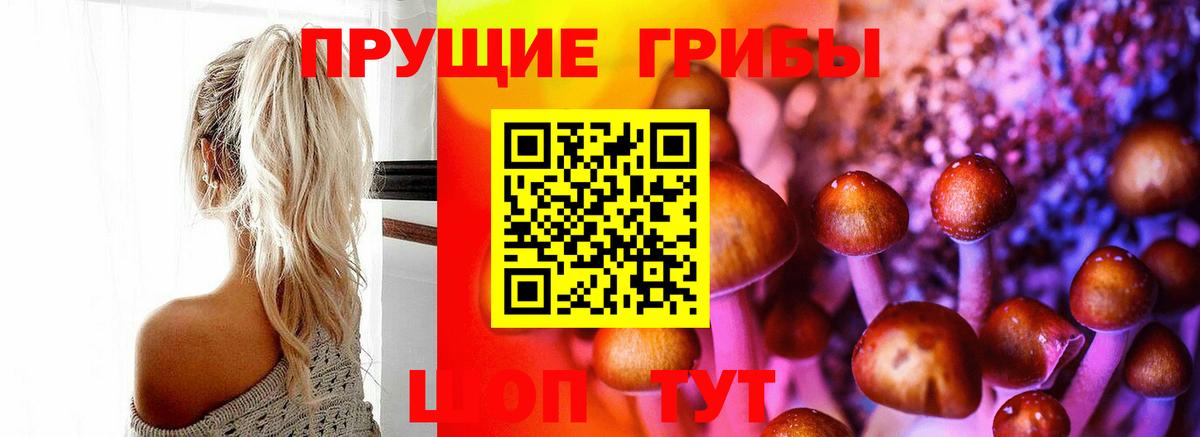 Галлюциногенные грибы прущие грибы  Галлюциногенные грибы Psilocybine cubensis  Усинск  Вход с VPN 